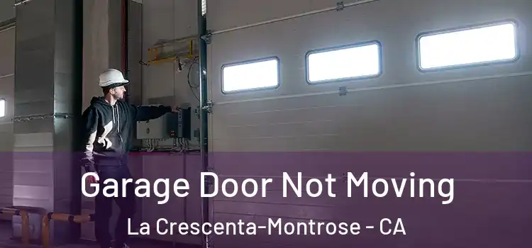  Garage Door Not Moving La Crescenta-Montrose - CA