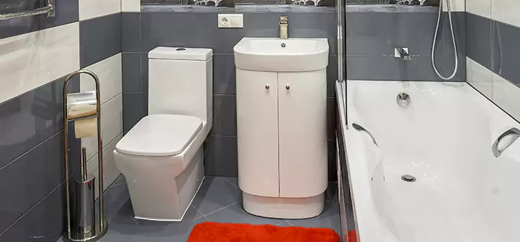 Hansgrohe Shaving Mirror La Crescenta-Montrose